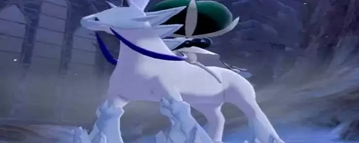 蕾冠王白马性格配招