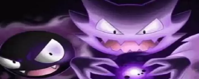 耿鬼配招性格_2 耿鬼配招性格