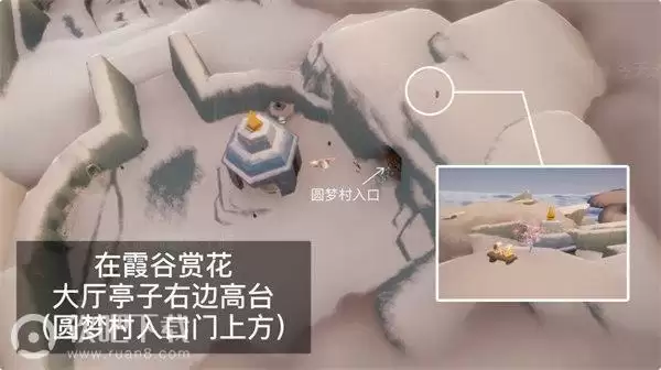 光遇2022花憩节全地图赏花位置汇总