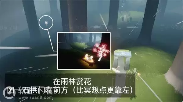 光遇2022花憩节全地图赏花位置汇总