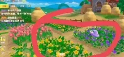 摩尔庄园蝴蝶捕捉地点分享