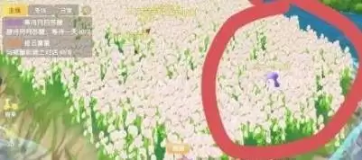 摩尔庄园蝴蝶捕捉地点分享