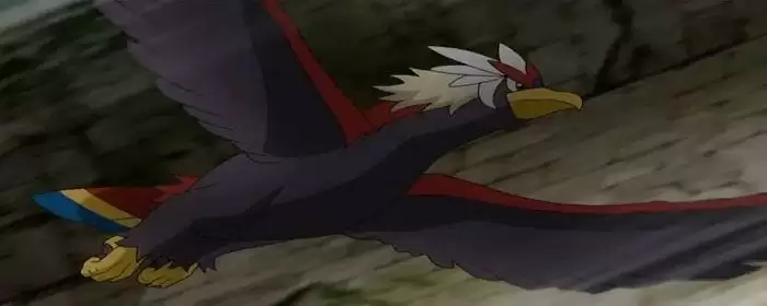 阿尔宙斯勇士雄鹰怎么获得_1 阿尔宙斯勇士雄鹰怎么获得