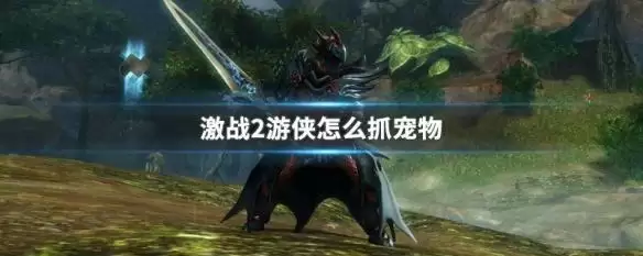 激战2游侠怎么捕捉宠物