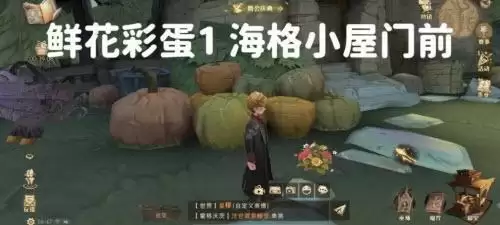 哈利波特魔法觉醒6处鲜花彩蛋位置分享:六处鲜花怎么获得图片1