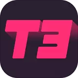 T3