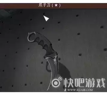 csgo武器标签能删除吗