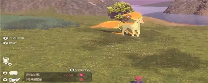 头目宝可梦和普通有什么区别_1 头目宝可梦和普通有什么区别