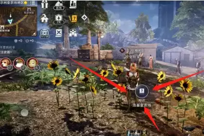 黑色沙漠手游洛基亚农场知识获取位置攻略2