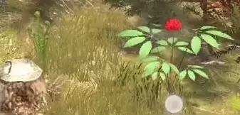 夺笋高手长白山人参怎么获取? 长白山人参获取攻略图片2