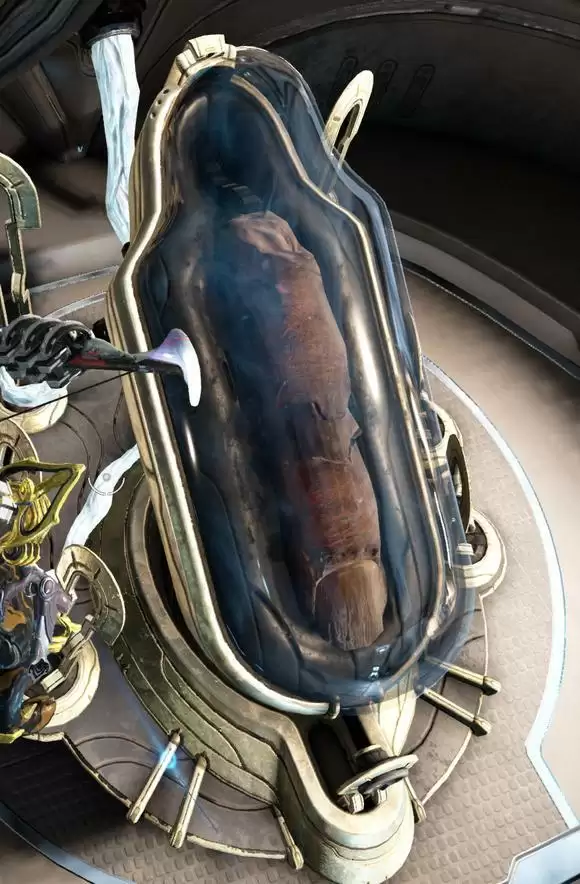 检查航道星舰上的圣物装置在哪里