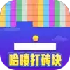 哈喽打砖块