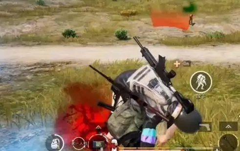 和平精英背人怎么背？背人功能设置方法[多图]图片3