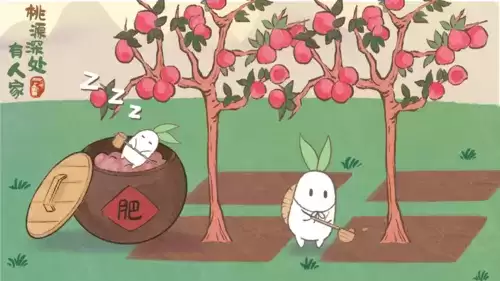 桃源深处有人家食谱大全3