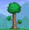 terraria1.4汉化版全物品