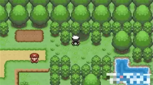 口袋妖怪究极绿宝石5.3新手教学攻略6
