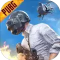 pubg小橘子
