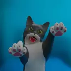 搞笑猫3D