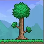 terraria1.4国际版无限资源版