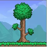 terraria