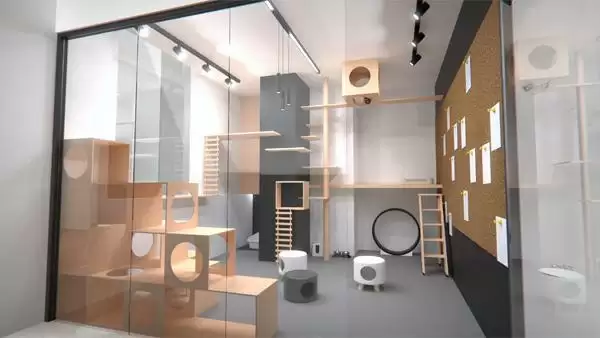 猫咪即正义!《猫之城》24小时沉浸式吸猫直播开启