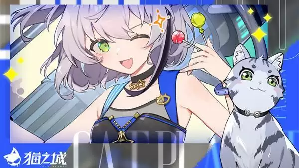 猫咪即正义!《猫之城》24小时沉浸式吸猫直播开启