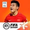 FIFA足球世界测试服