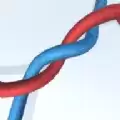 暴走的缠结2