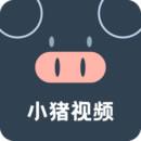 小猪视频app最新版