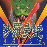 沙罗曼蛇