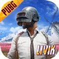 pubg mobile国际服安卓