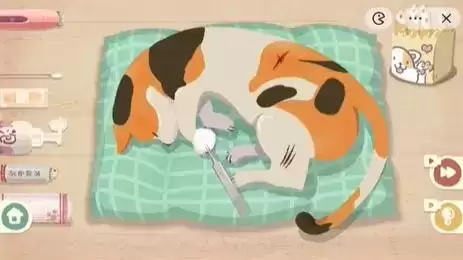 收纳物语救助喵喵通关攻略3