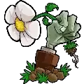 植物大战僵尸e