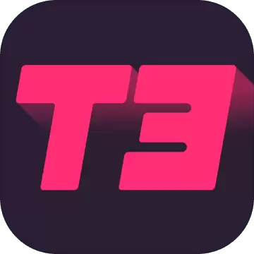 T3