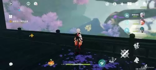 原神调查走廊深处的庭院攻略 原神调查走廊深处的庭院解谜流程