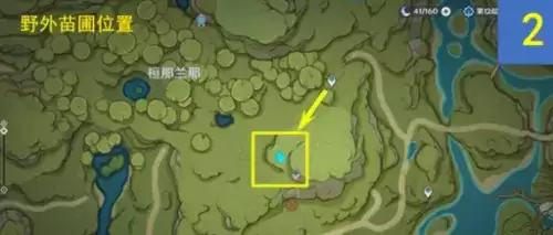 原神水天供书后续任务12个桓斯弥利底位置 原神水天供书后续任务12个桓斯弥利底位置一览