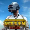 PUBG MOBILE TW绝地求生台服手机