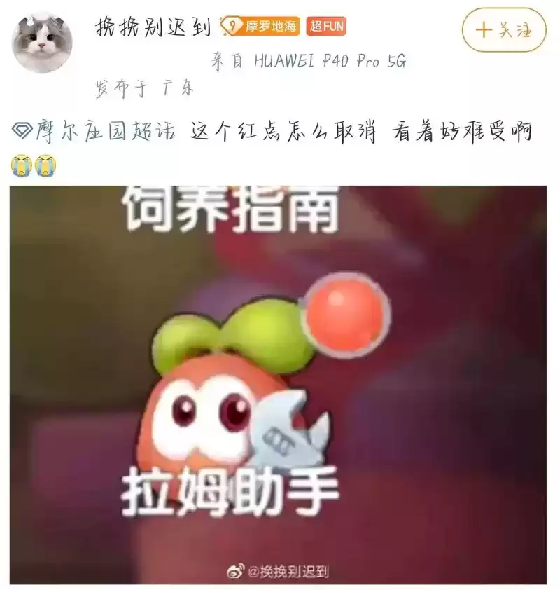 《摩尔庄园》七侠盘点,听我说声谢谢你!