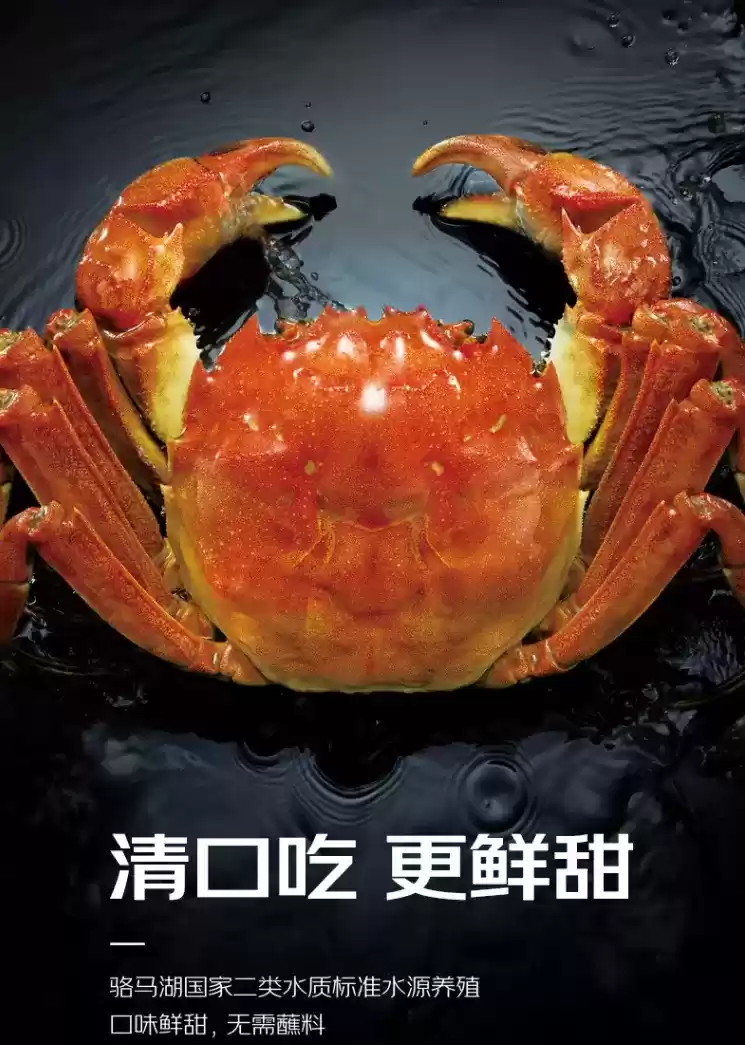 秋天的第一只“霸王蟹”，《乱世王者》请了！