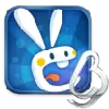 功夫兔子