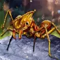 解救星际小蚂蚁