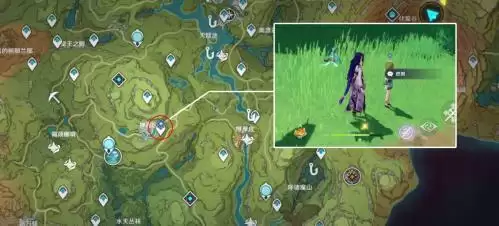 原神寻星之旅第七天攻略流程 原神大未来星位置一览