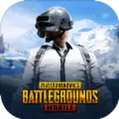 pubg(地铁逃生)