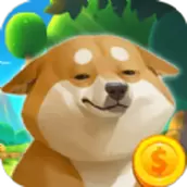 柴犬日记