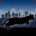暗影猫咪