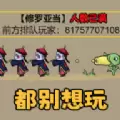 不能玩的游戏