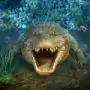水下动物猎人