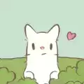 猫咪和汤正