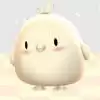 小鸡大作战