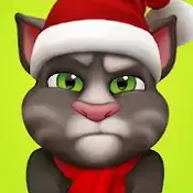 我的汤姆猫